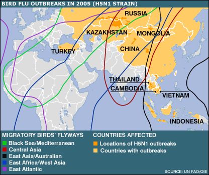Spread of Bird Flu in 2005